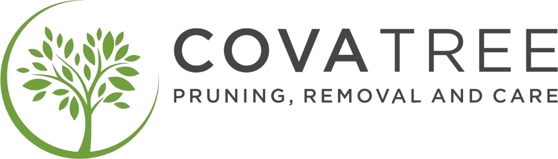 COVA Tree